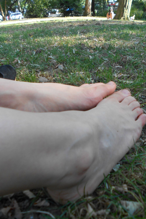 elline_066.jpg