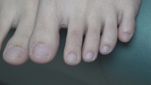 152041kelez2al58ewi8tm.jpg.thumb.jpg