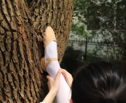 大西瓜2019年5月份新图-高中生大西瓜套图- (423)  125P