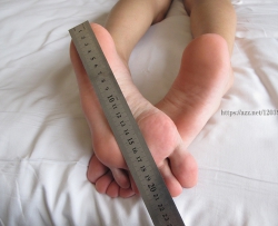 ģ19P
