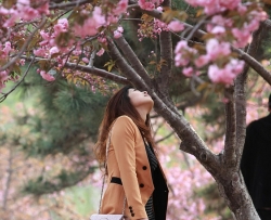特色丝袜鱼嘴高跟美女赏樱花 [10P]