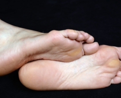 小夕足底 [24P]